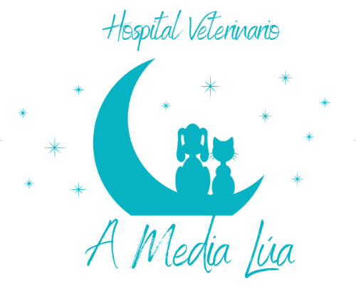 A Media Lúa